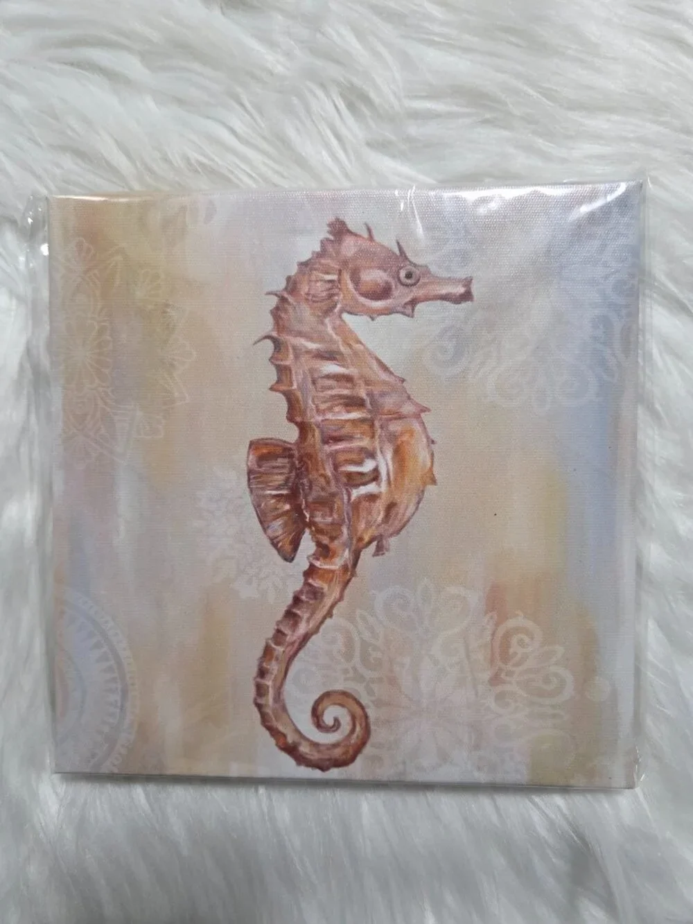 Seahorse & Fish Wall Art Set